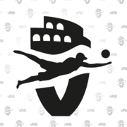 Logo Verona Beach Volley